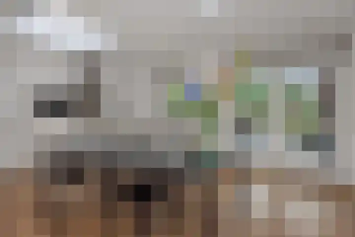 Schovenhorstweide 25 Helmond thumbnail 20