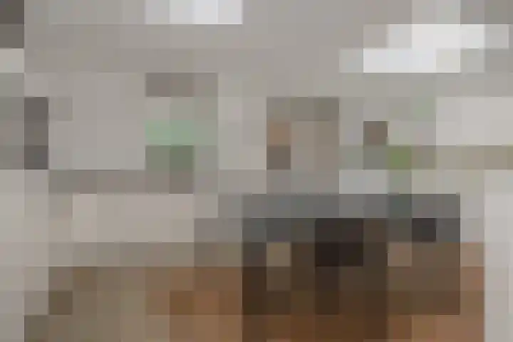 Schovenhorstweide 25 Helmond thumbnail 21
