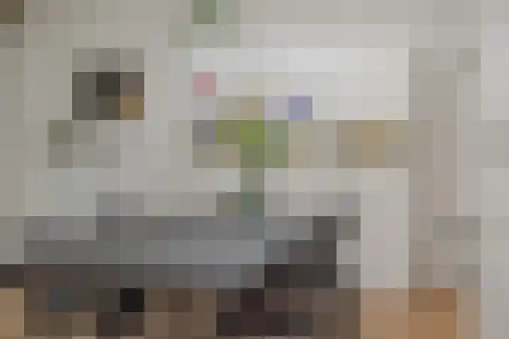 Schovenhorstweide 25 Helmond thumbnail 24