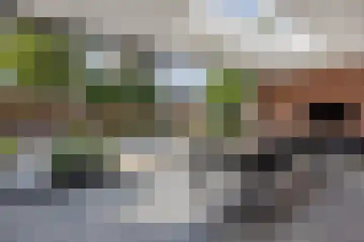 Schovenhorstweide 25 Helmond thumbnail 29