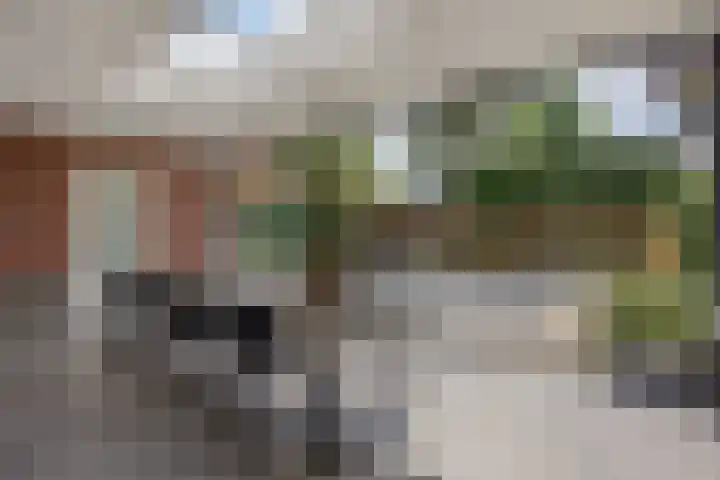 Schovenhorstweide 25 Helmond thumbnail 30