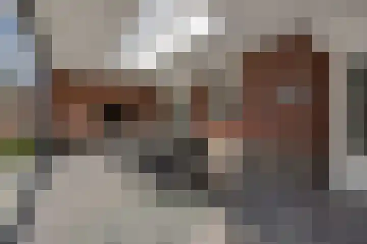 Schovenhorstweide 25 Helmond thumbnail 31