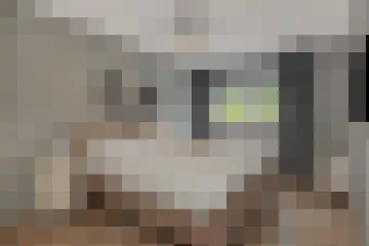 Schovenhorstweide 25 Helmond thumbnail 36