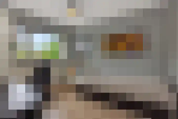 Schovenhorstweide 25 Helmond thumbnail 38