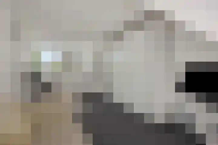 Schovenhorstweide 25 Helmond thumbnail 49
