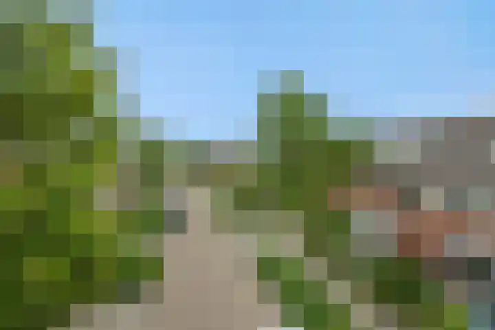 Schovenhorstweide 25 Helmond thumbnail 5