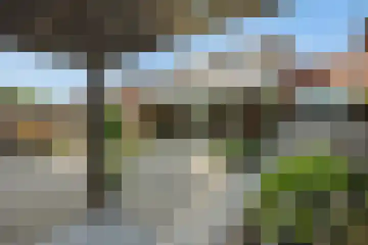 Schovenhorstweide 25 Helmond thumbnail 55