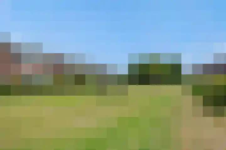 Schovenhorstweide 25 Helmond thumbnail 58
