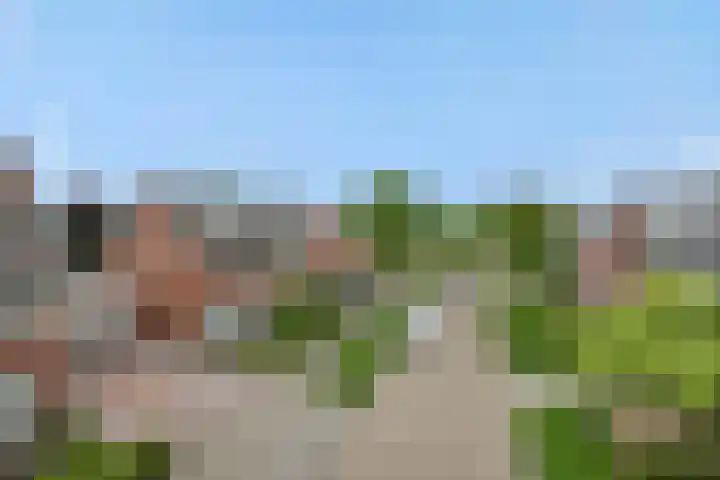 Schovenhorstweide 25 Helmond thumbnail 8