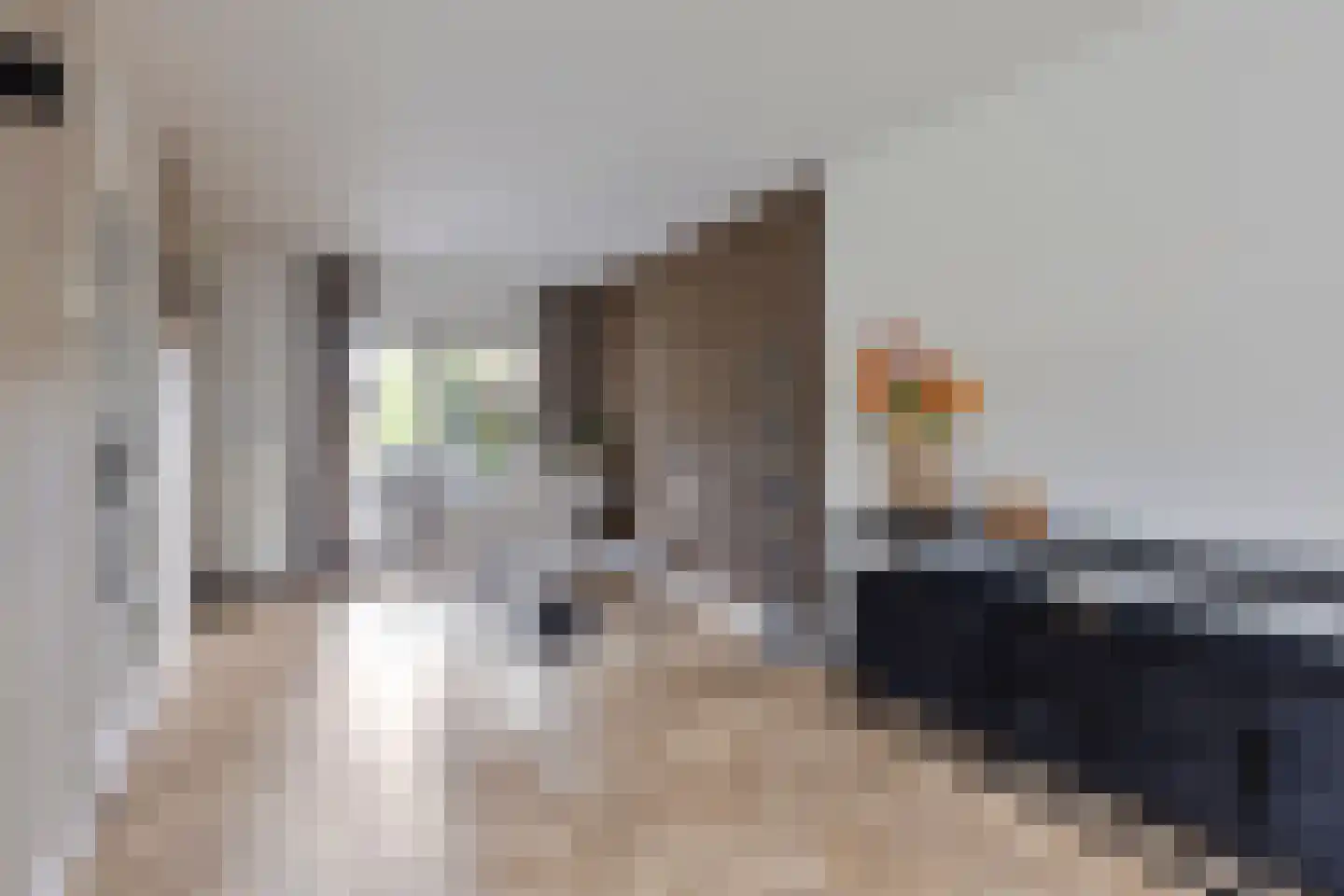 Schovenhorstweide 5 Helmond thumbnail 12