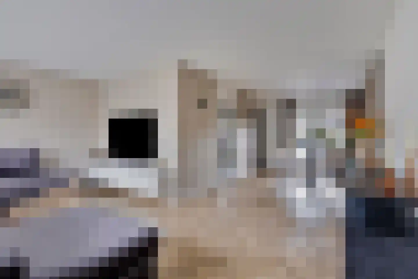 Schovenhorstweide 5 Helmond thumbnail 13