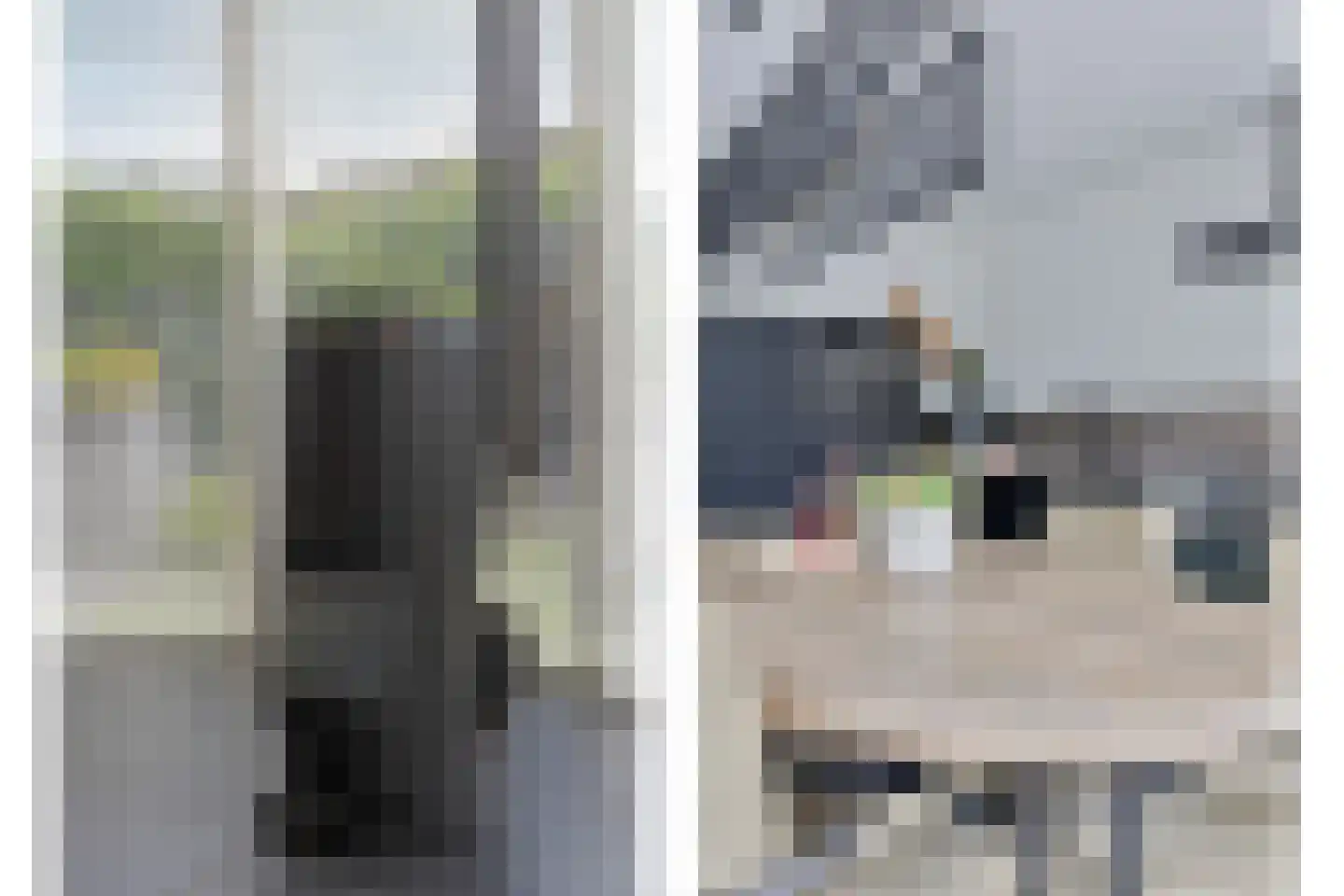 Schovenhorstweide 5 Helmond thumbnail 16