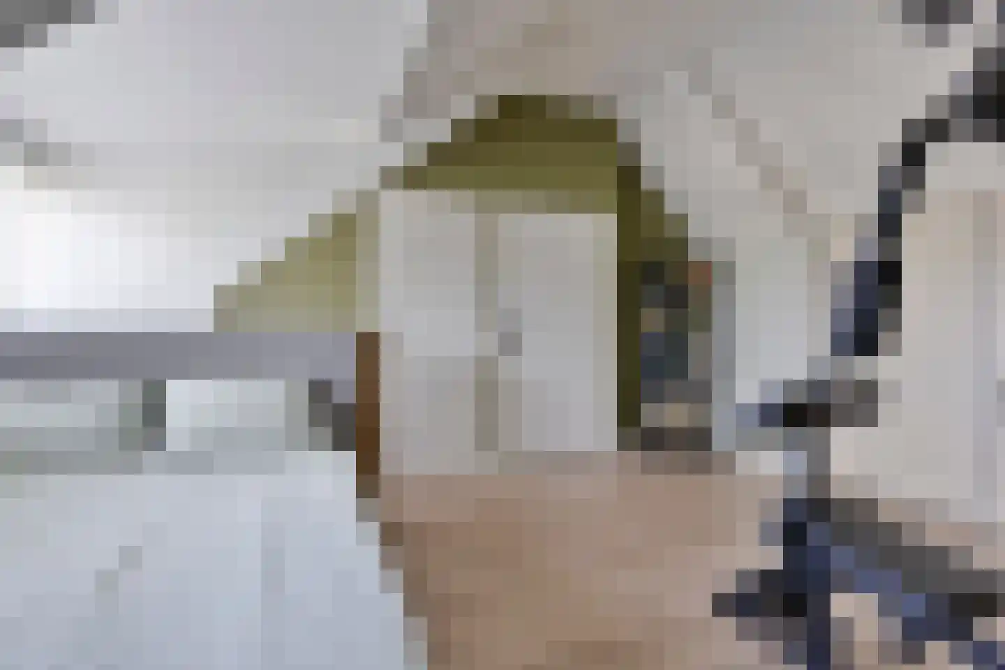 Schovenhorstweide 5 Helmond thumbnail 30