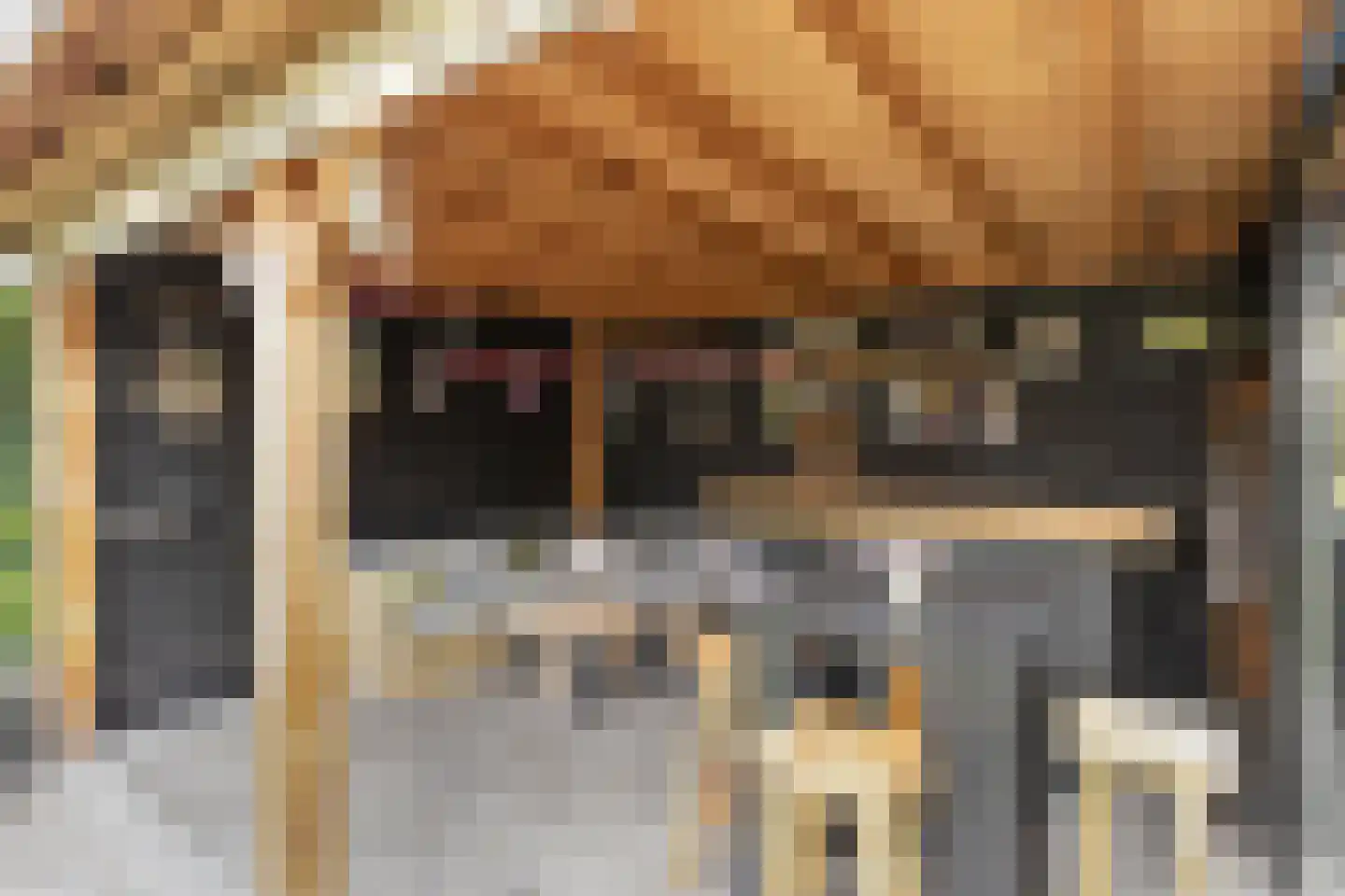 Schovenhorstweide 5 Helmond thumbnail 35