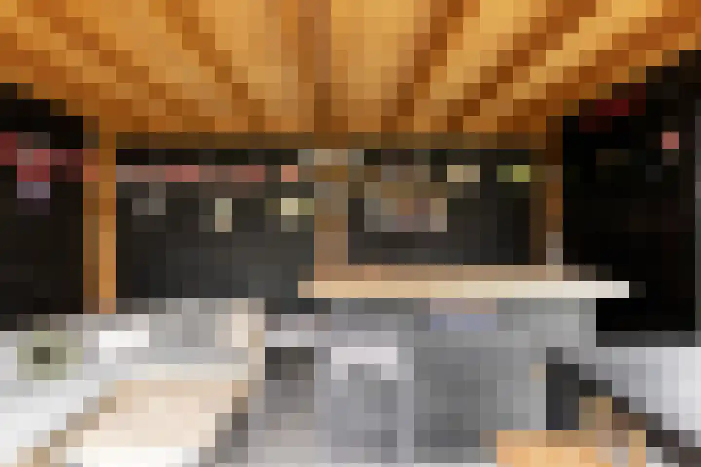 Schovenhorstweide 5 Helmond thumbnail 36