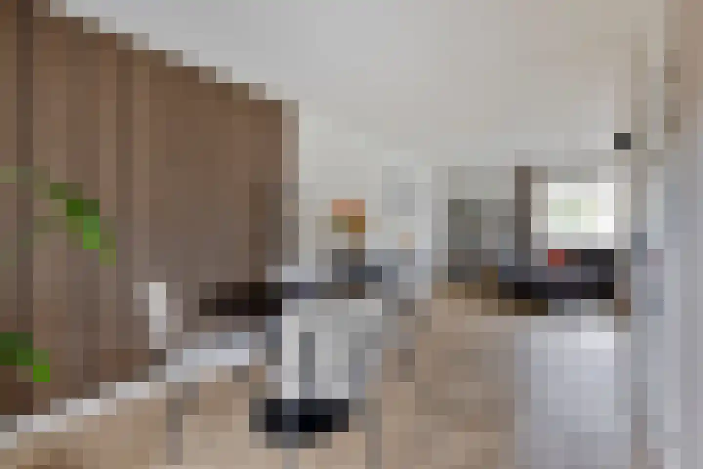 Schovenhorstweide 5 Helmond thumbnail 4