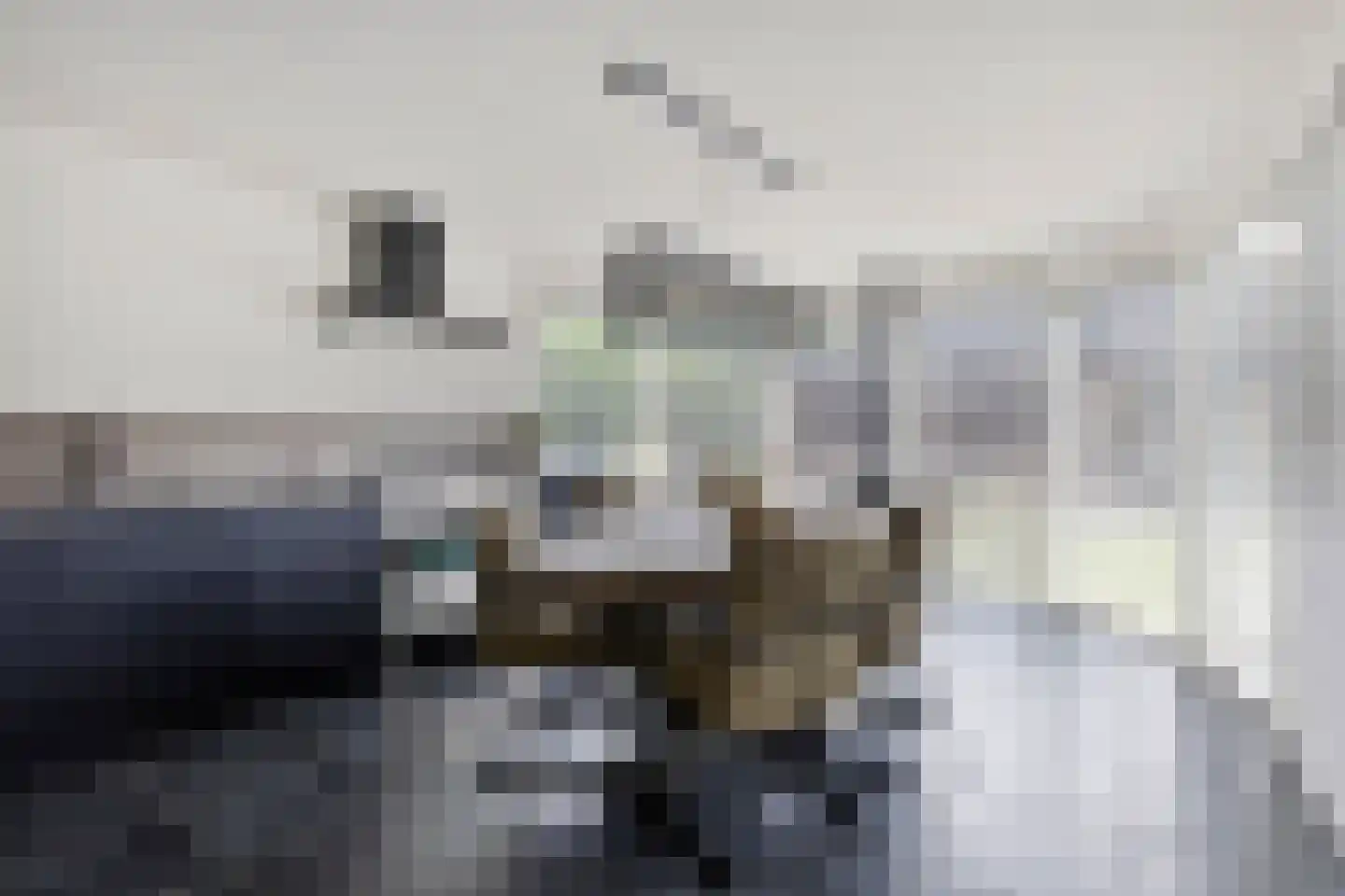 Schovenhorstweide 5 Helmond thumbnail 5