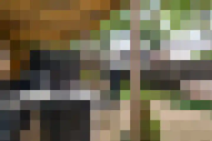 Schovenlaan 102 Maastricht thumbnail 17
