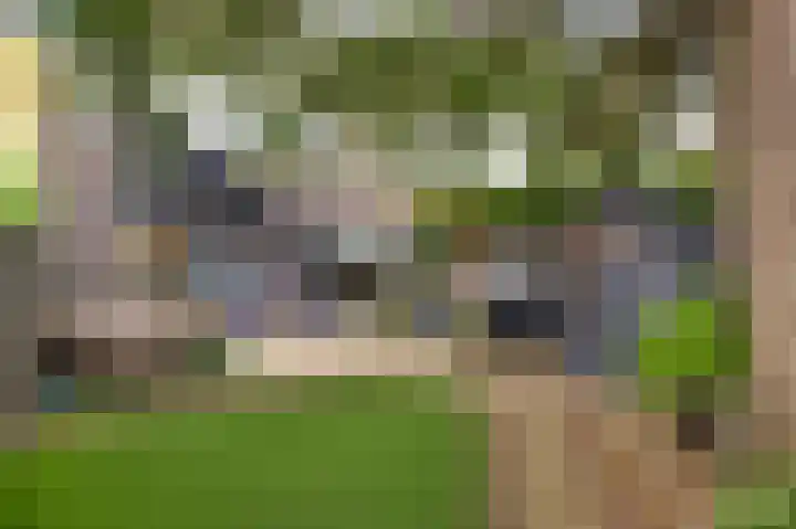 Schovenlaan 102 Maastricht thumbnail 4