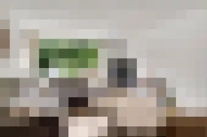 Schovenlaan 102 Maastricht thumbnail 5
