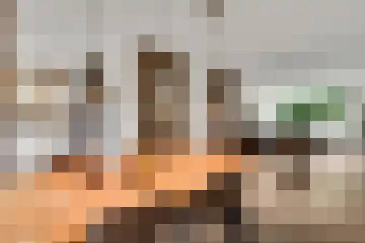Schovenlaan 102 Maastricht thumbnail 8