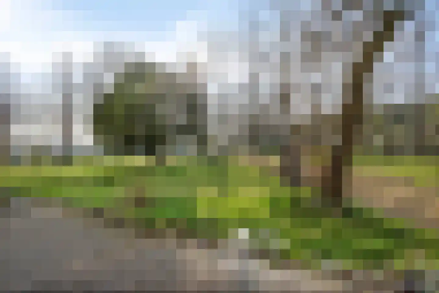 Schovetweg 82 Eygelshoven thumbnail 49