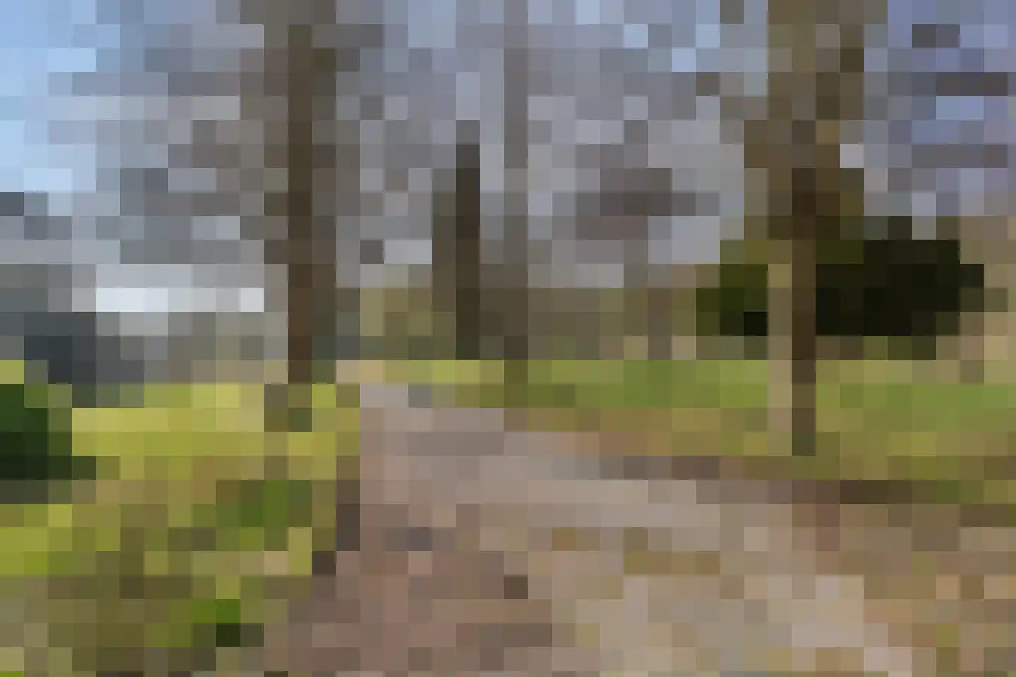 Schovetweg 82 Eygelshoven thumbnail 50