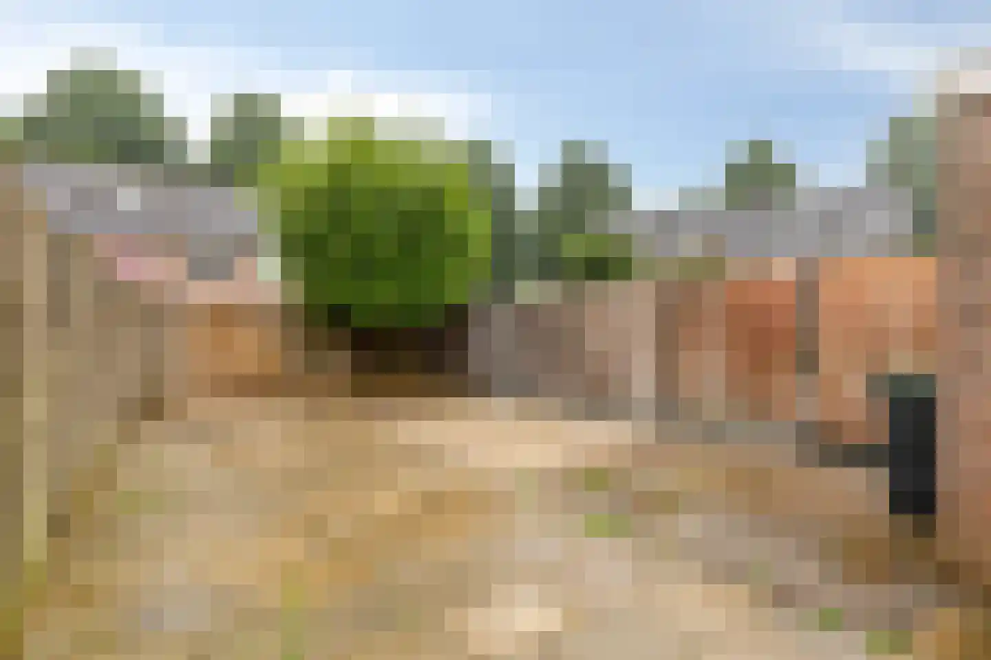 Schraaweide 36 Westervoort thumbnail 18