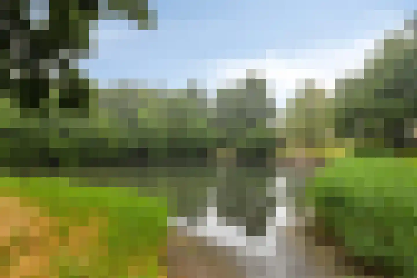 Schraaweide 36 Westervoort thumbnail 31