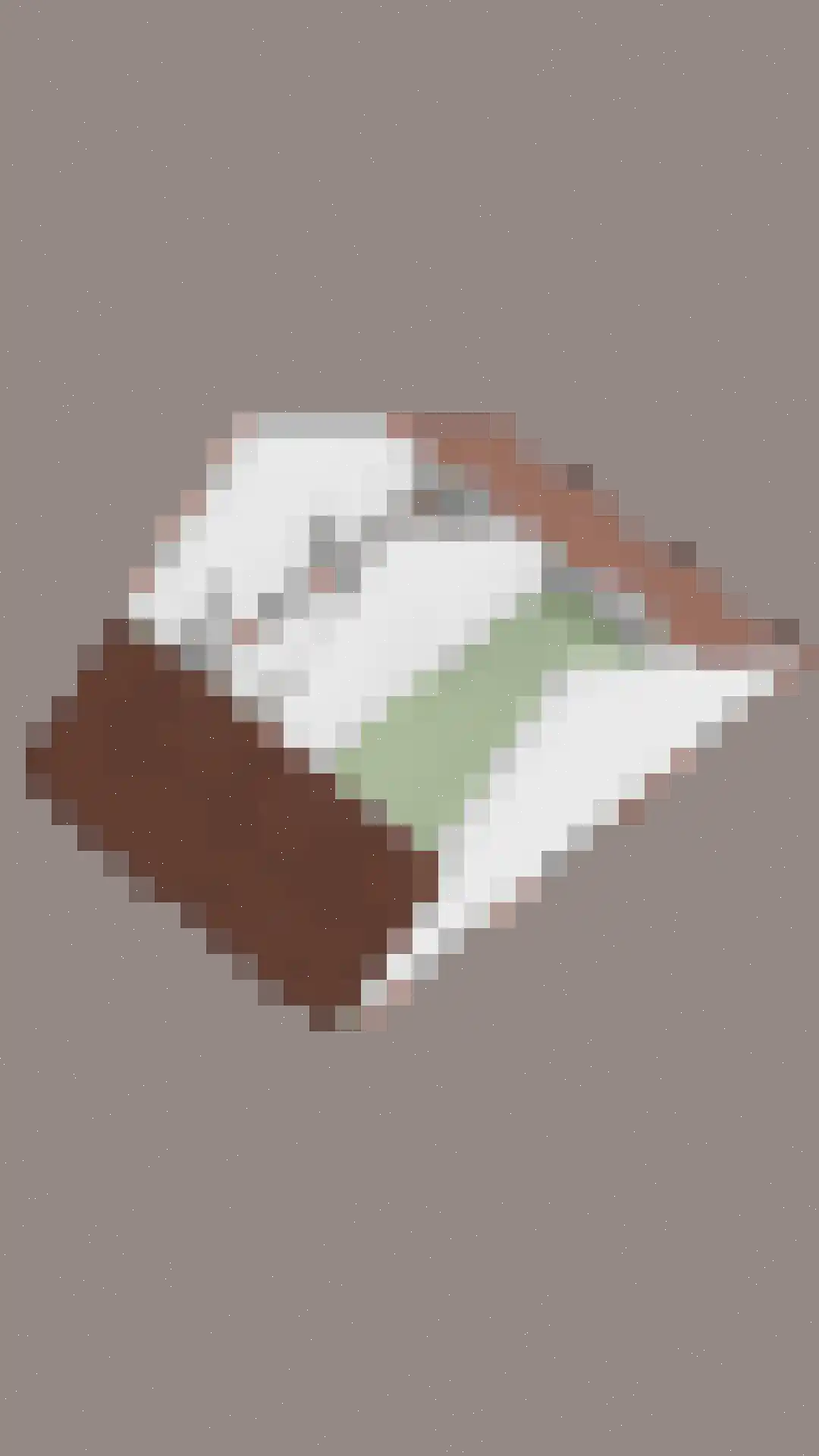 Schraaweide 36 Westervoort thumbnail 37