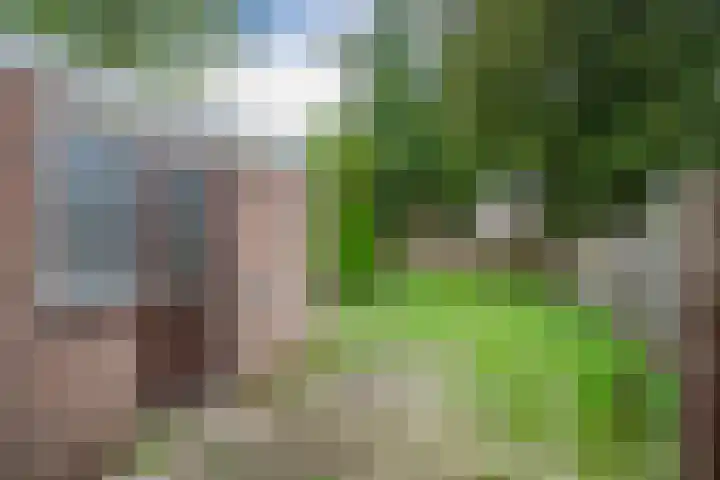 Schraaweide 44 Westervoort thumbnail 18