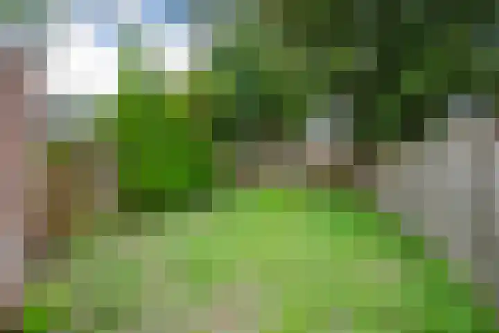Schraaweide 44 Westervoort thumbnail 19