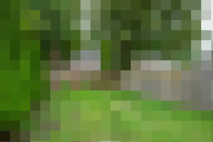 Schraaweide 44 Westervoort thumbnail 20