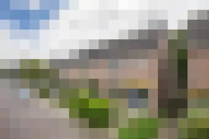 Schraaweide 44 Westervoort thumbnail 6