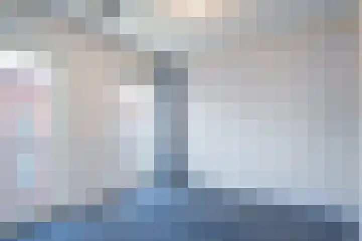 Schrabber 46 Den Haag thumbnail 15