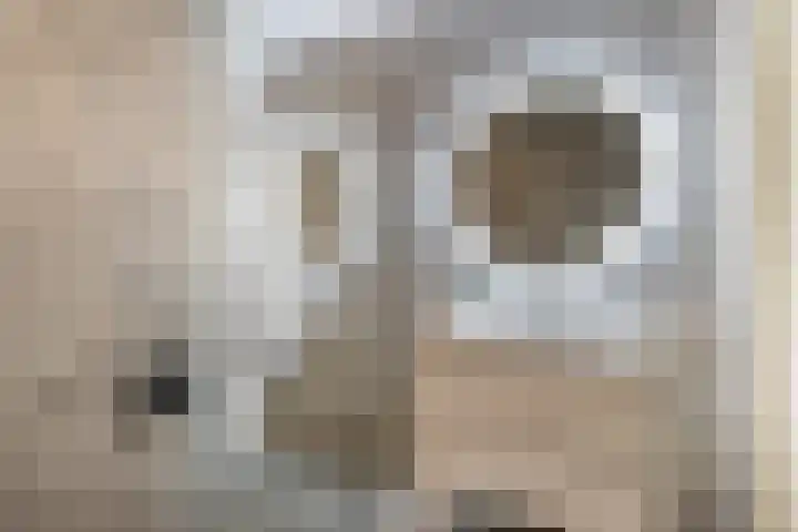 Schrabber 46 Den Haag thumbnail 16