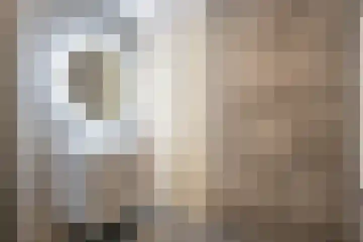 Schrabber 46 Den Haag thumbnail 17