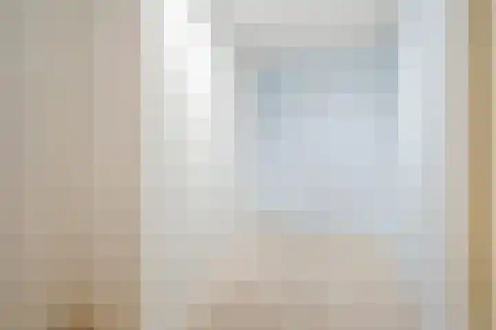 Schrabber 46 Den Haag thumbnail 22