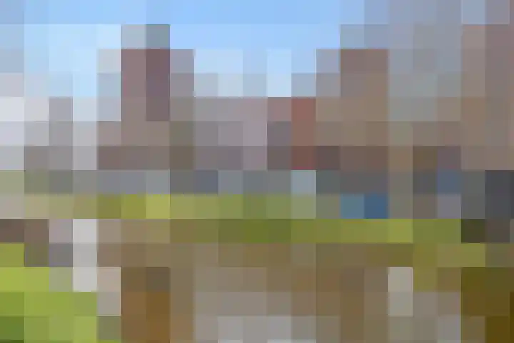 Schrabber 46 Den Haag thumbnail 28