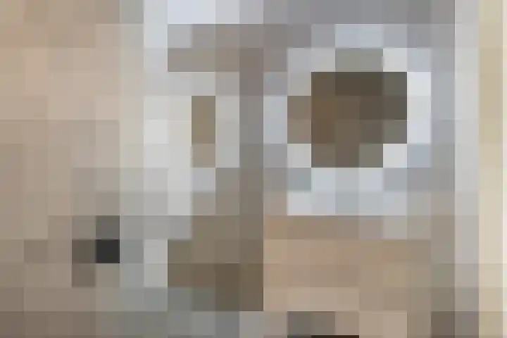 Schrabber 46 Den Haag thumbnail 4