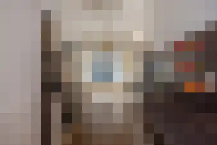 Schrabber 52 Den Haag thumbnail 10