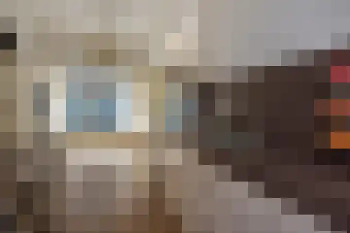 Schrabber 52 Den Haag thumbnail 11