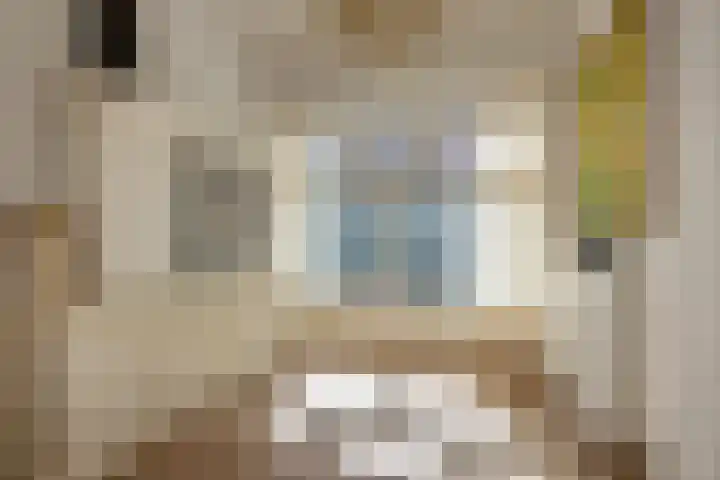 Schrabber 52 Den Haag thumbnail 13