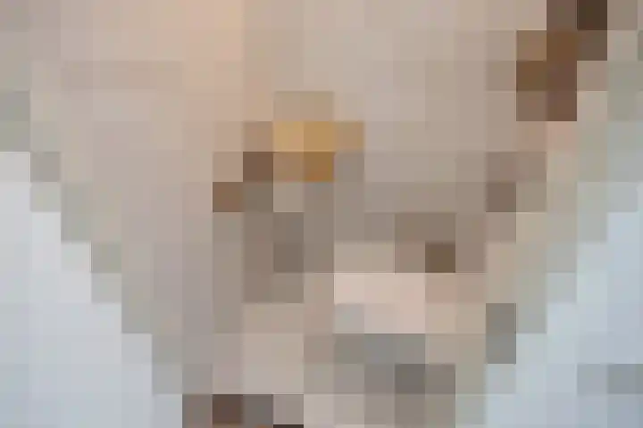 Schrabber 52 Den Haag thumbnail 14