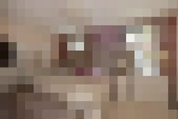 Schrabber 52 Den Haag thumbnail 17