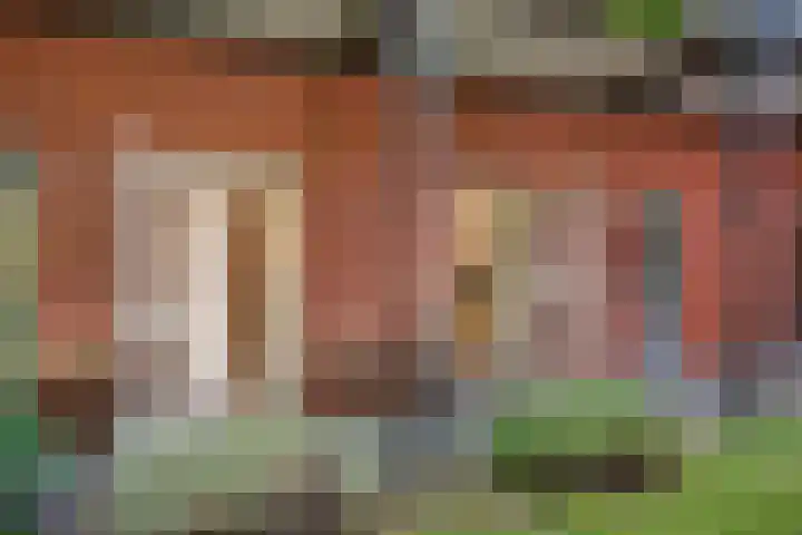 Schrabber 52 Den Haag thumbnail 24