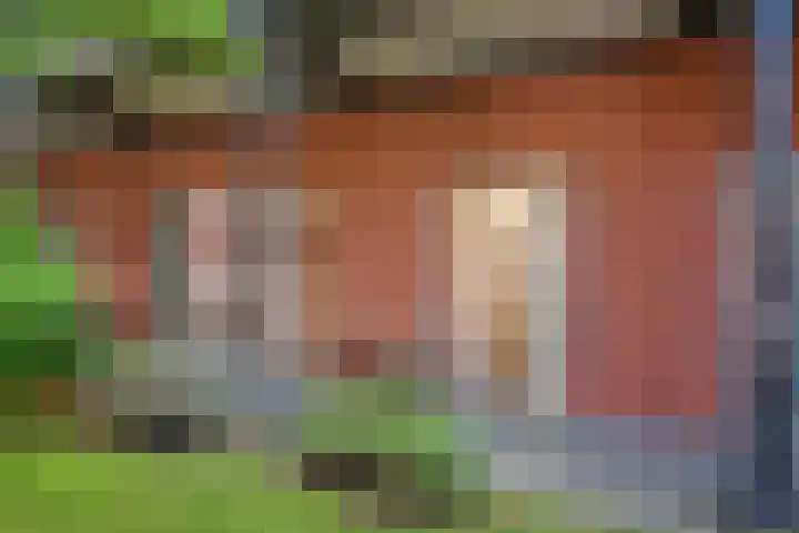 Schrabber 52 Den Haag thumbnail 25