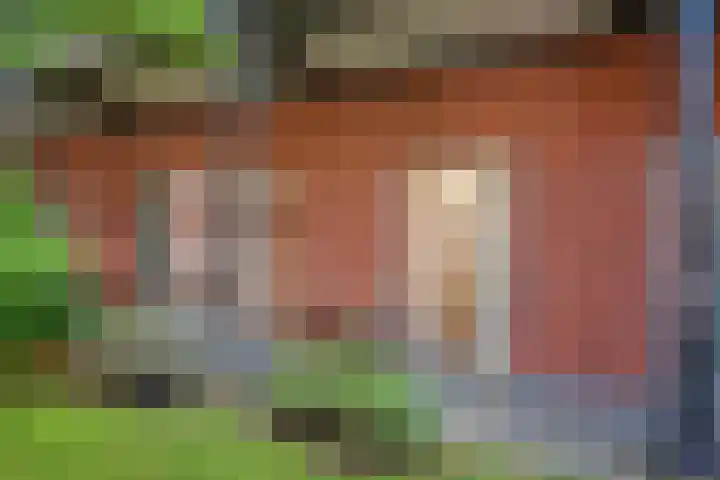 Schrabber 52 Den Haag thumbnail 26