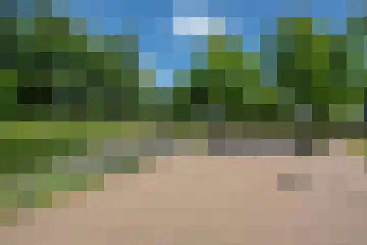 Schrabber 52 Den Haag thumbnail 31