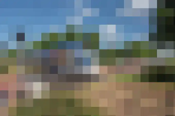 Schrabber 52 Den Haag thumbnail 33